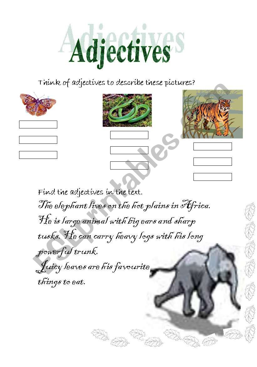 adjectives worksheet