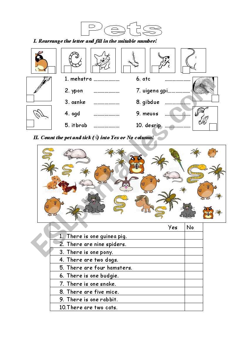 Pets worksheet