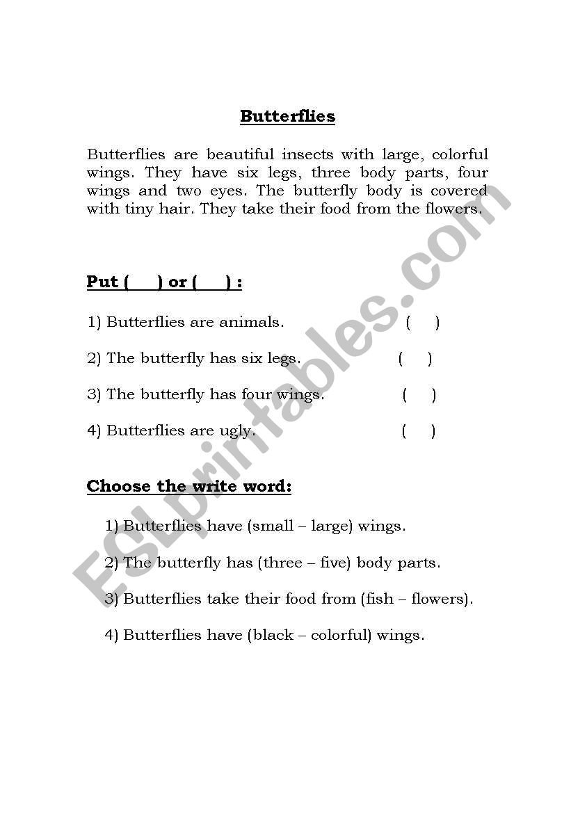 Butterflies worksheet