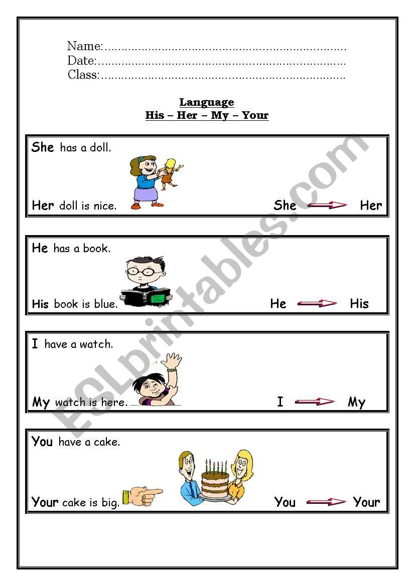 His Her My Your worksheet His Her My Your worksheet