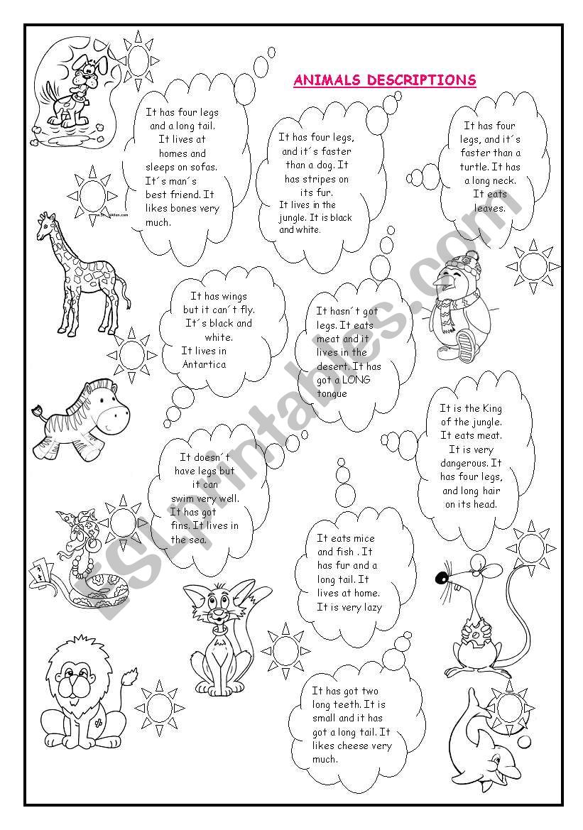 Animal descriptions 1 worksheet