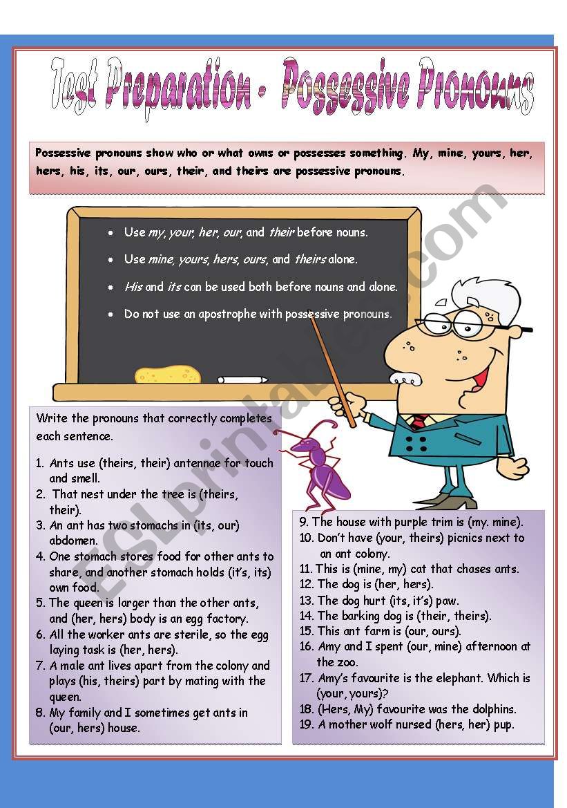 Test Preparation - Possessive Pronouns