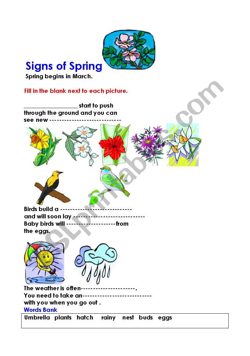 Signs of Spring worksheet