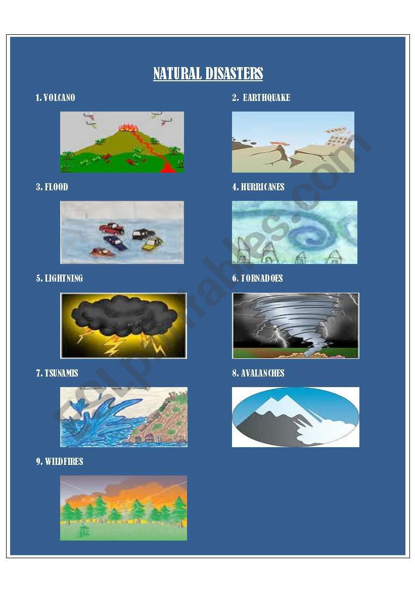 NATURAL DISASTER worksheet