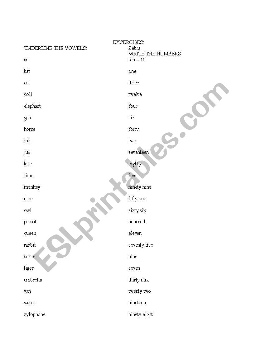 vowels excercises worksheet