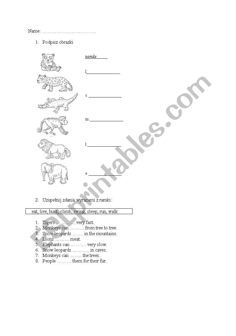 Animals  worksheet