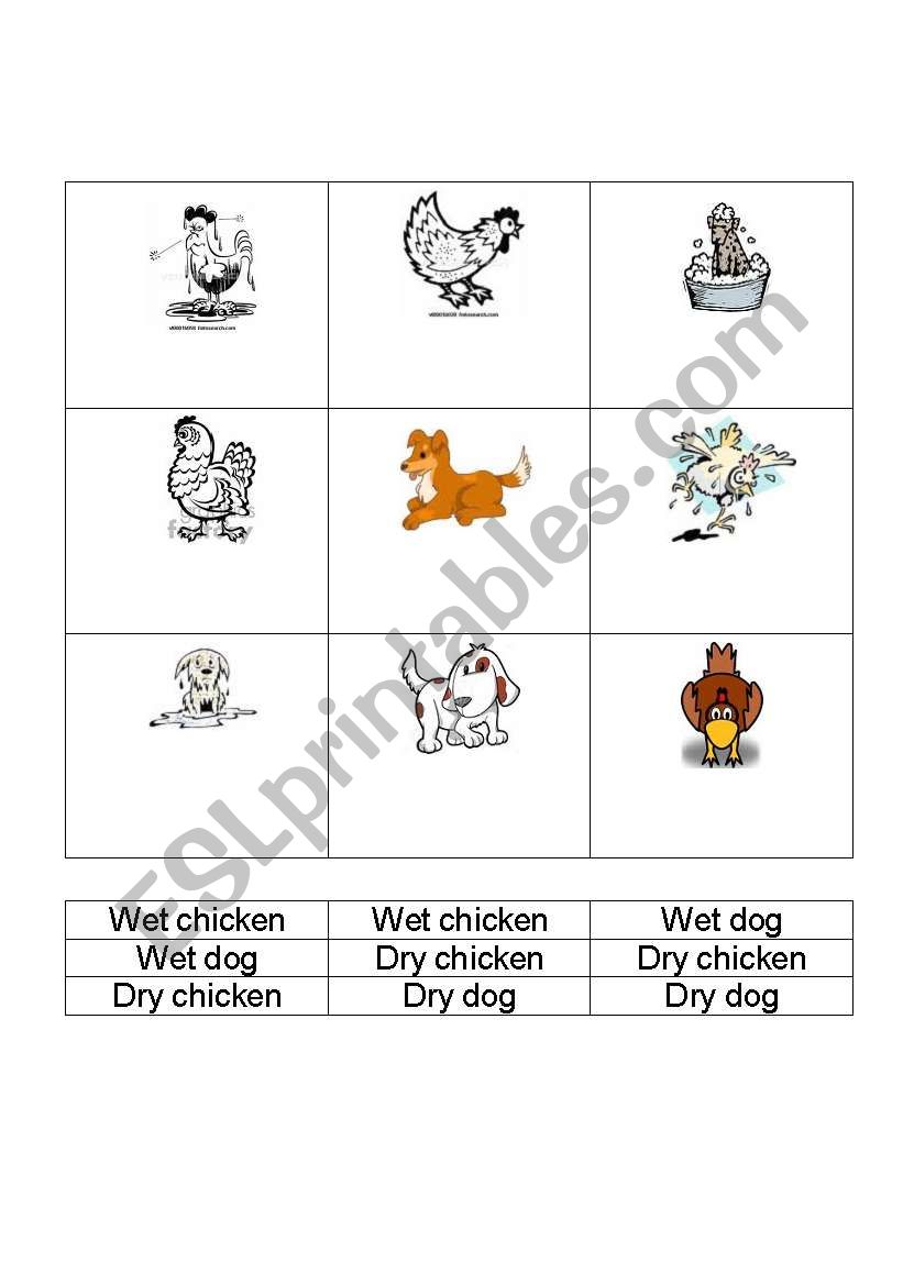 Wet vs. Dry worksheet