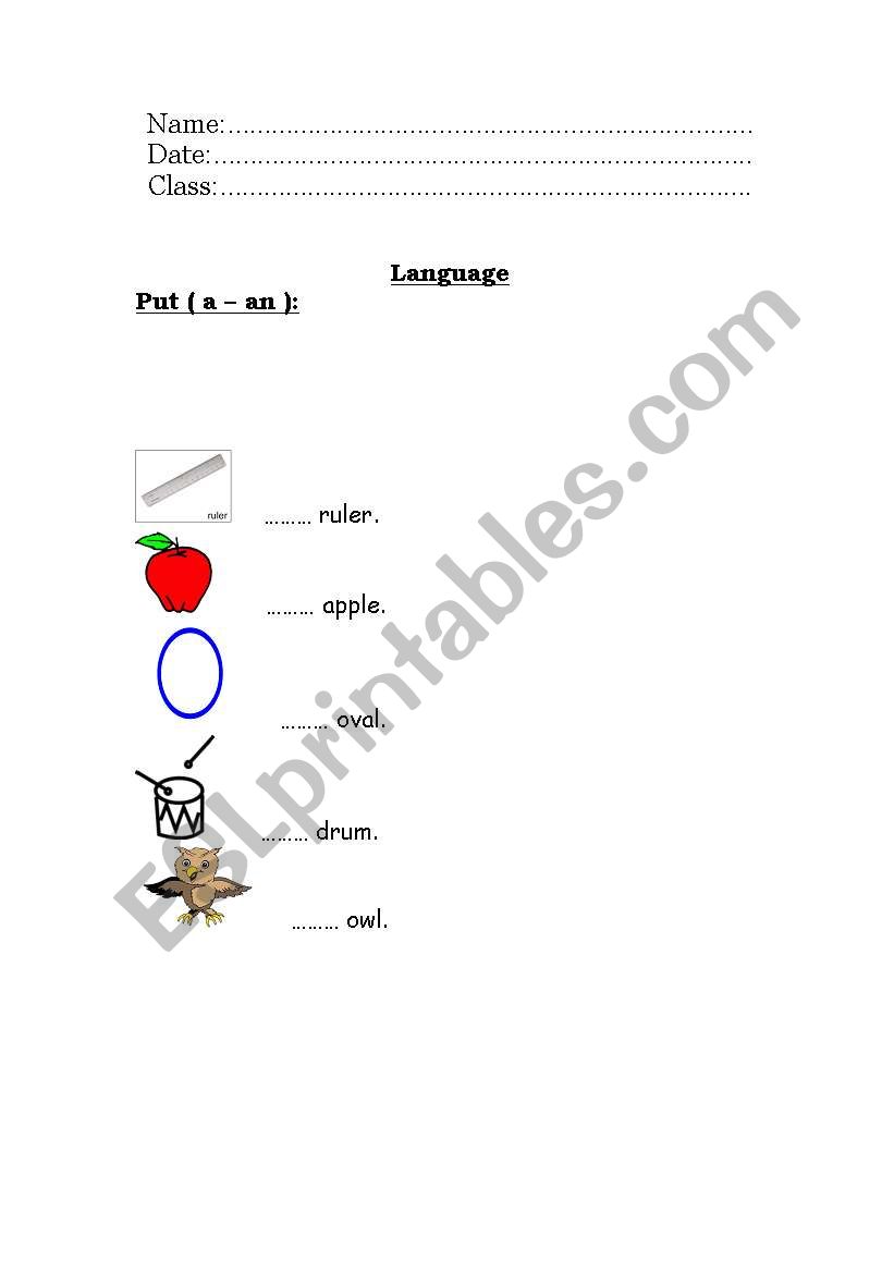 a/an worksheet