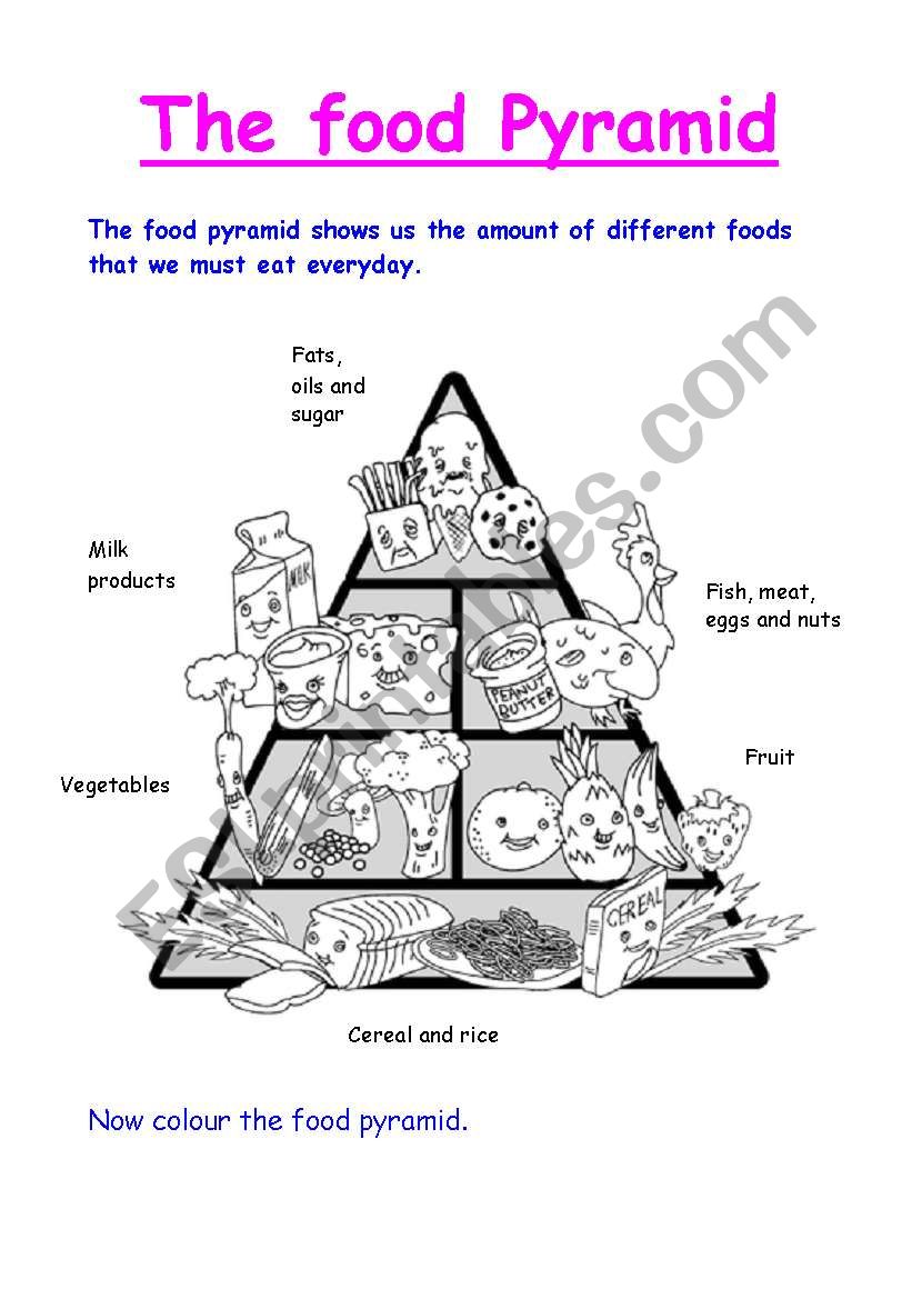 The Food Pyramid worksheet