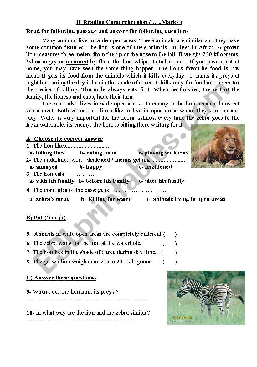 A reading Comprehension text about Lions and Zebras