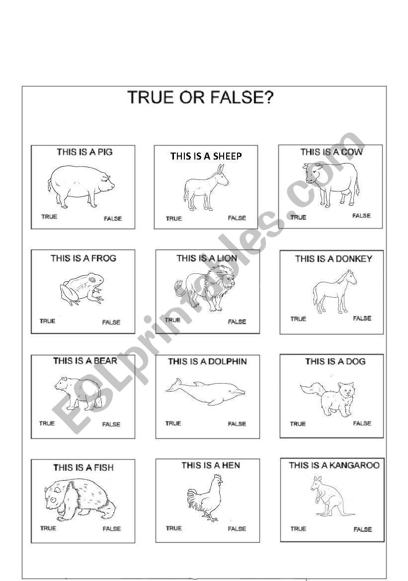 true or false (animals) worksheet