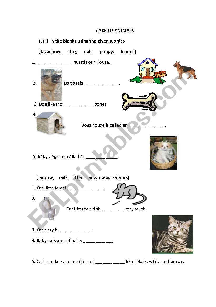 ANIMALS worksheet