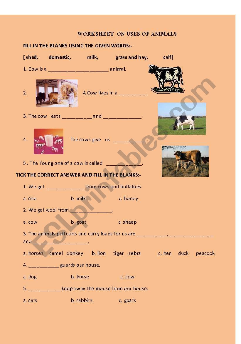 USES OF ANIMALS worksheet