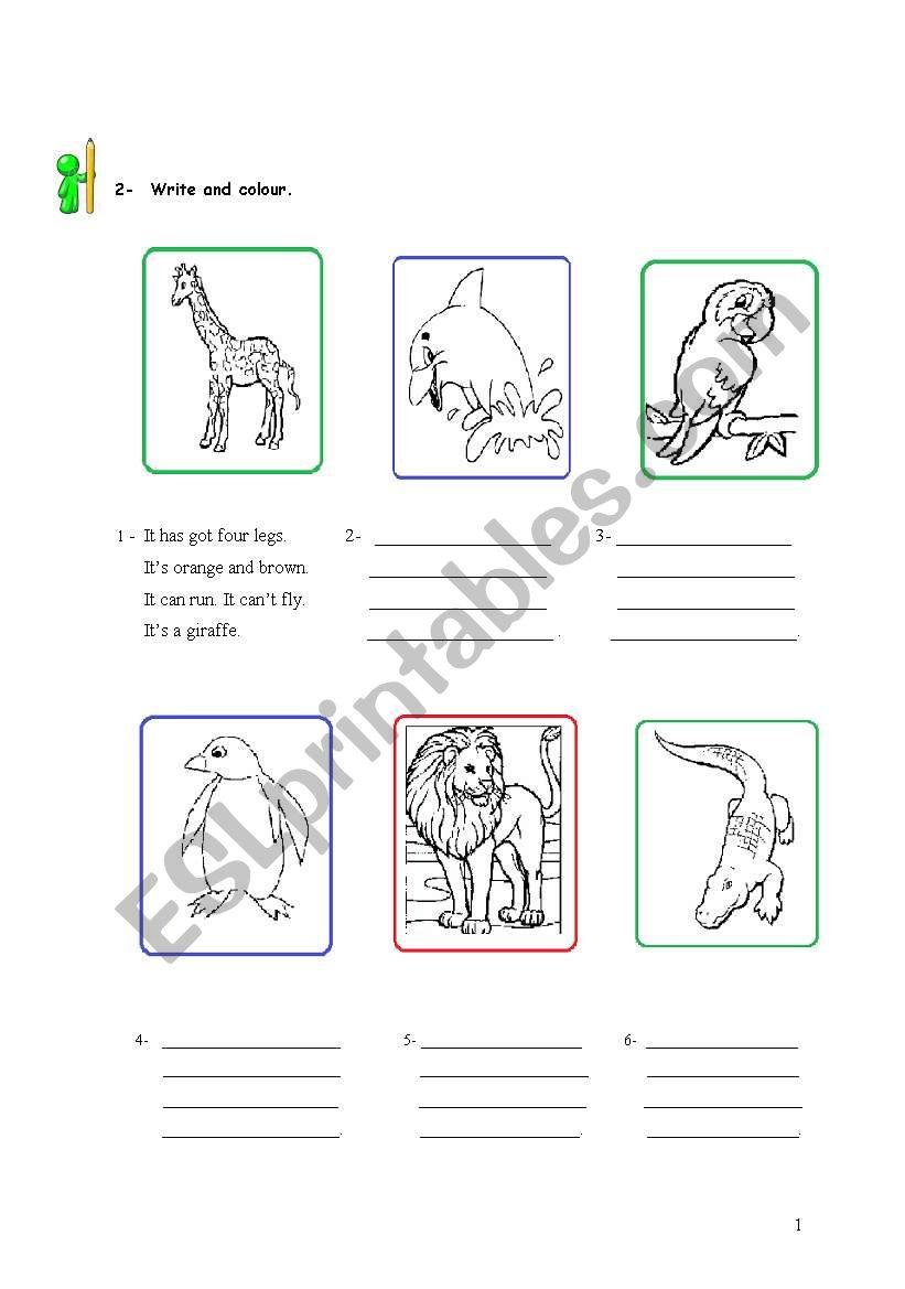 animal description and colouring