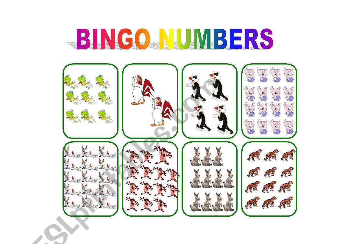 BINGO NUMBERS worksheet