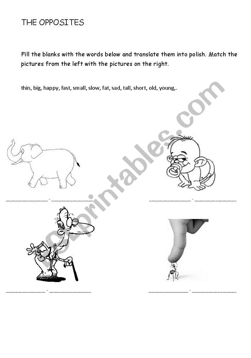 Opposites worksheet