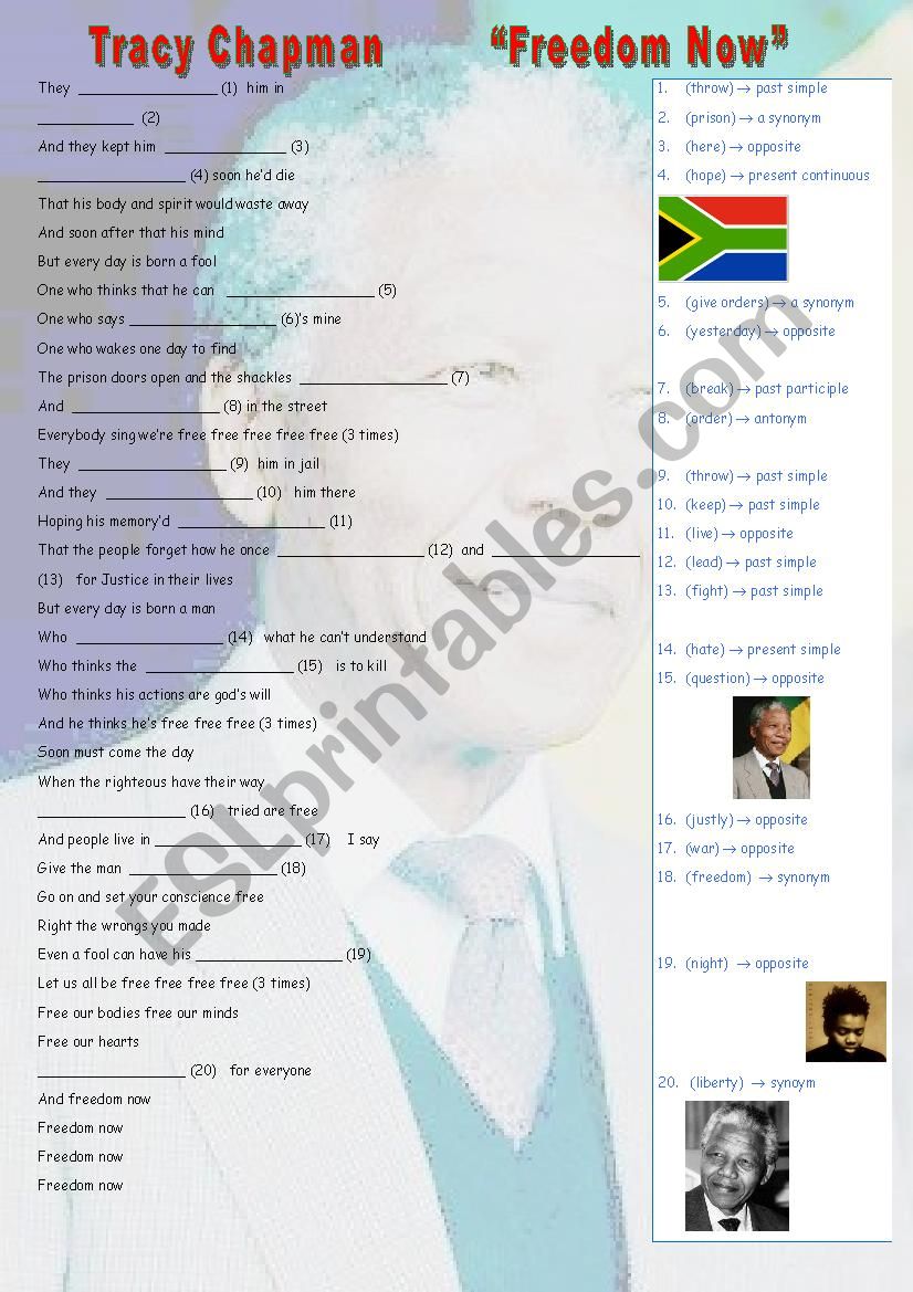 Freedom Now by Tracy Chapman (Tribute to Nelson Mandela)