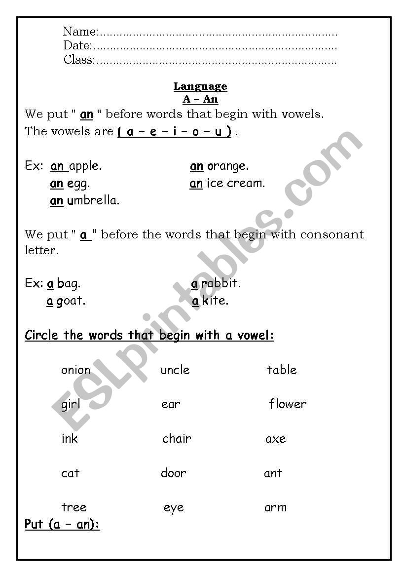 A/An worksheet