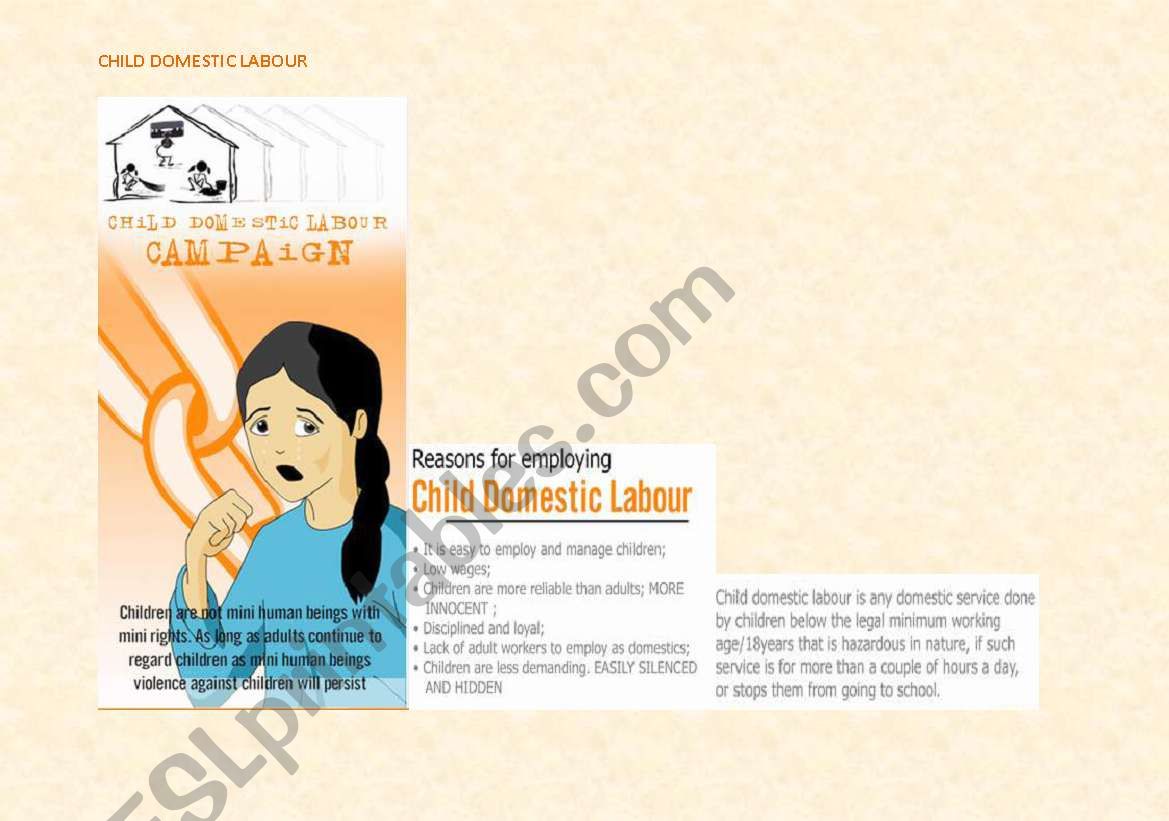 Child Domestic Labour Campaign Project