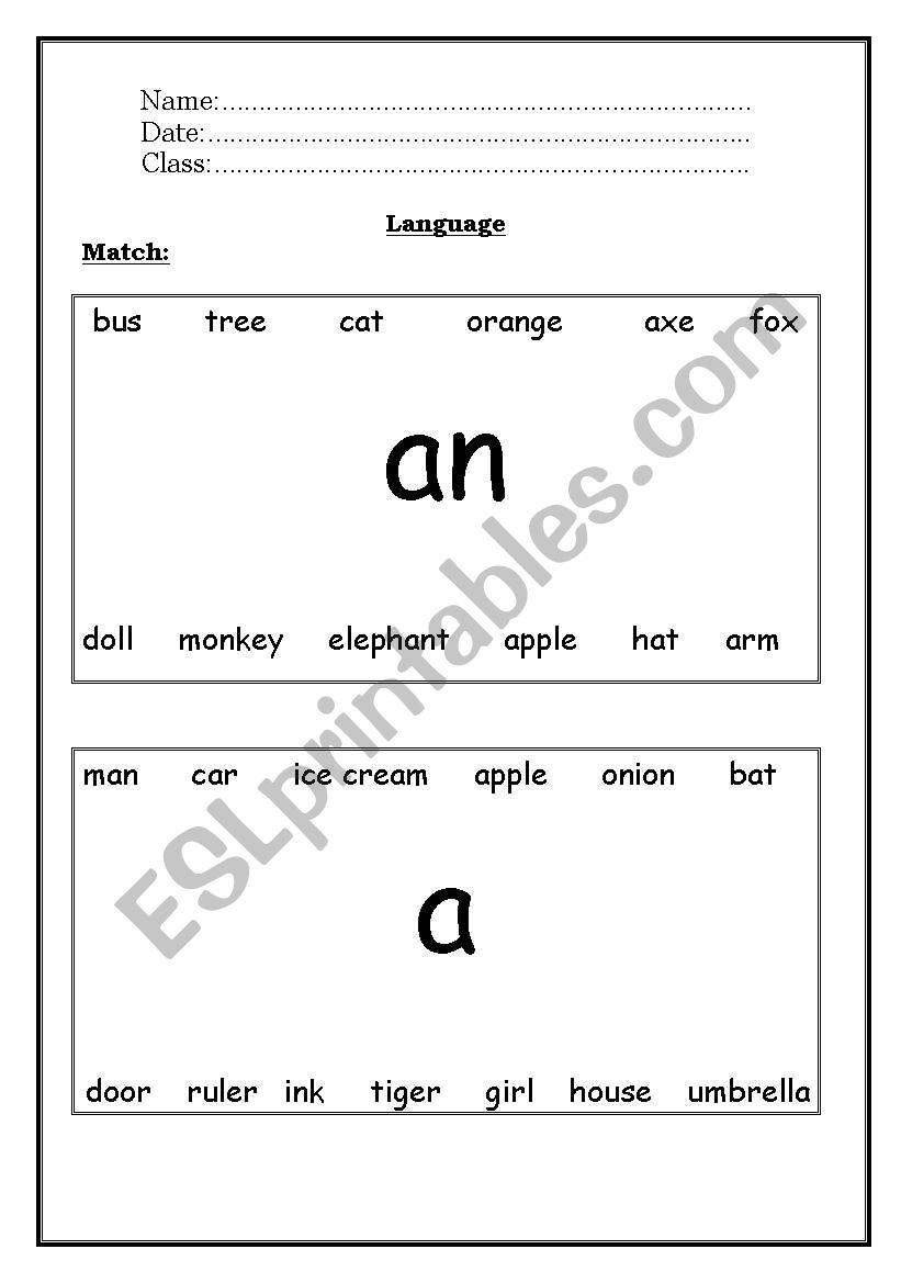 A/ An worksheet