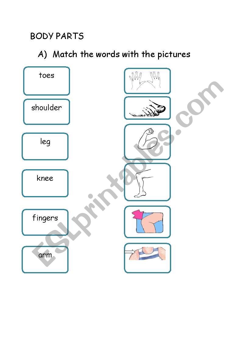 Body Parts worksheet