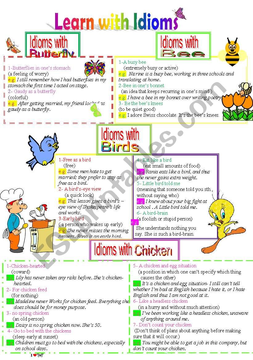 Learn with Idioms ( Part 16): Idioms with Butterfly, bee, Birds and Chicken