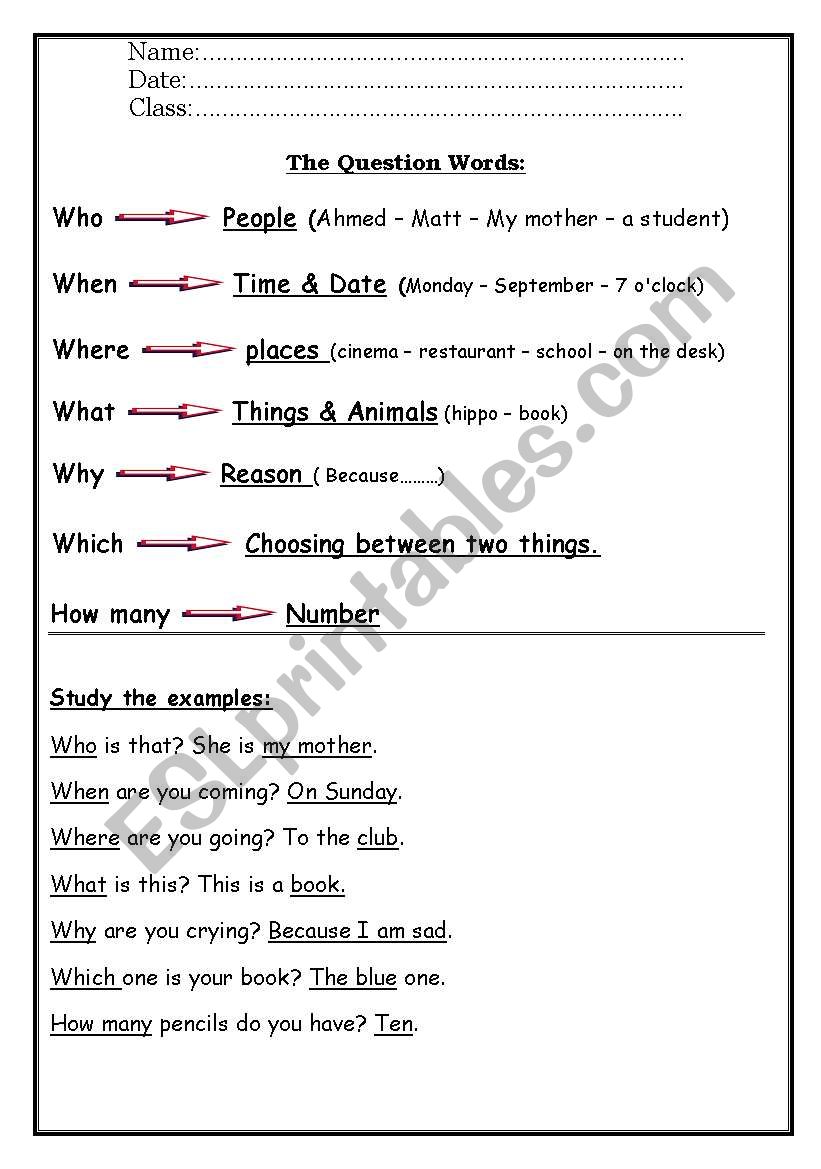 Question Words worksheet