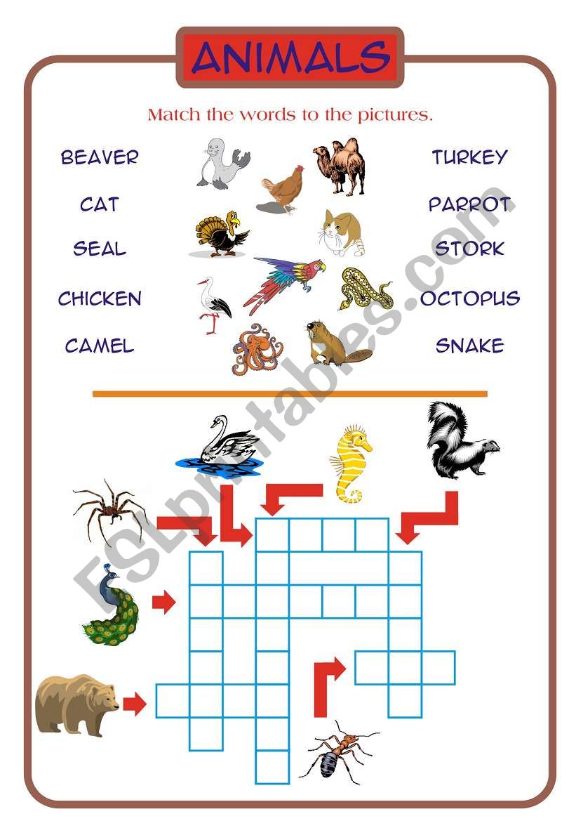 Animals worksheet