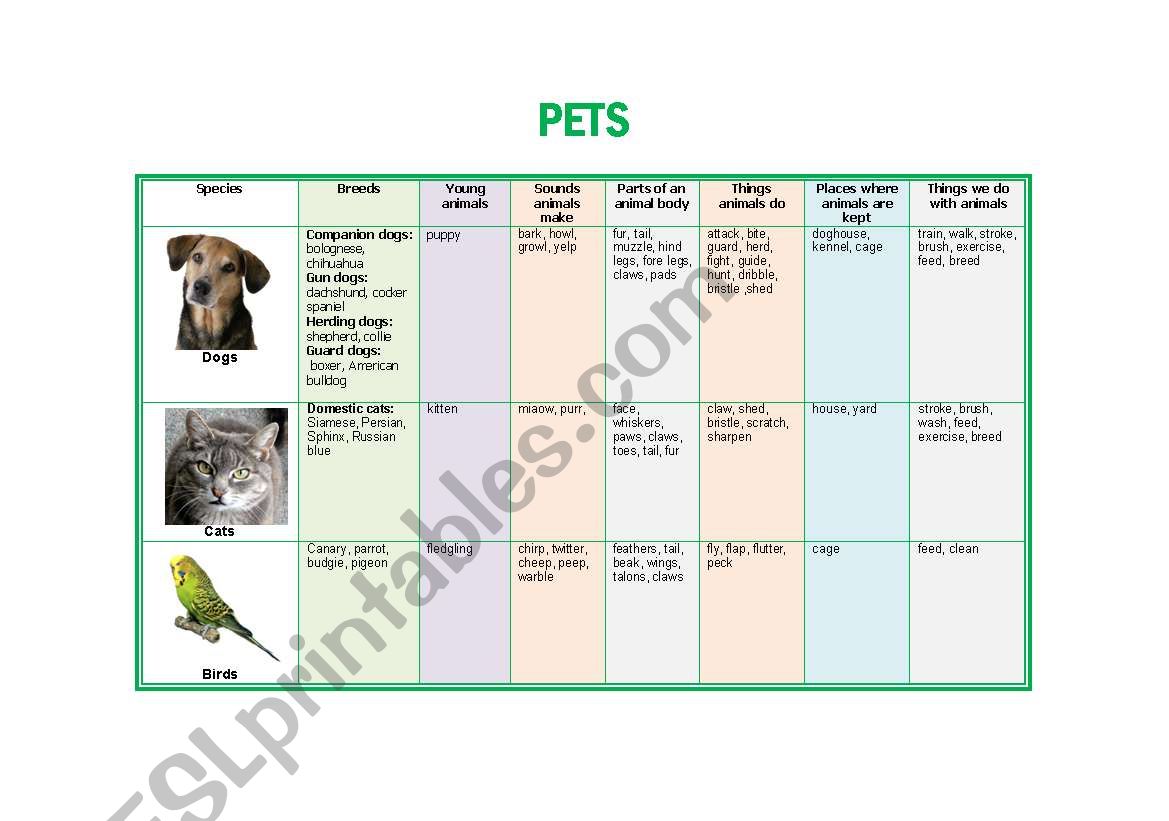 Pets worksheet