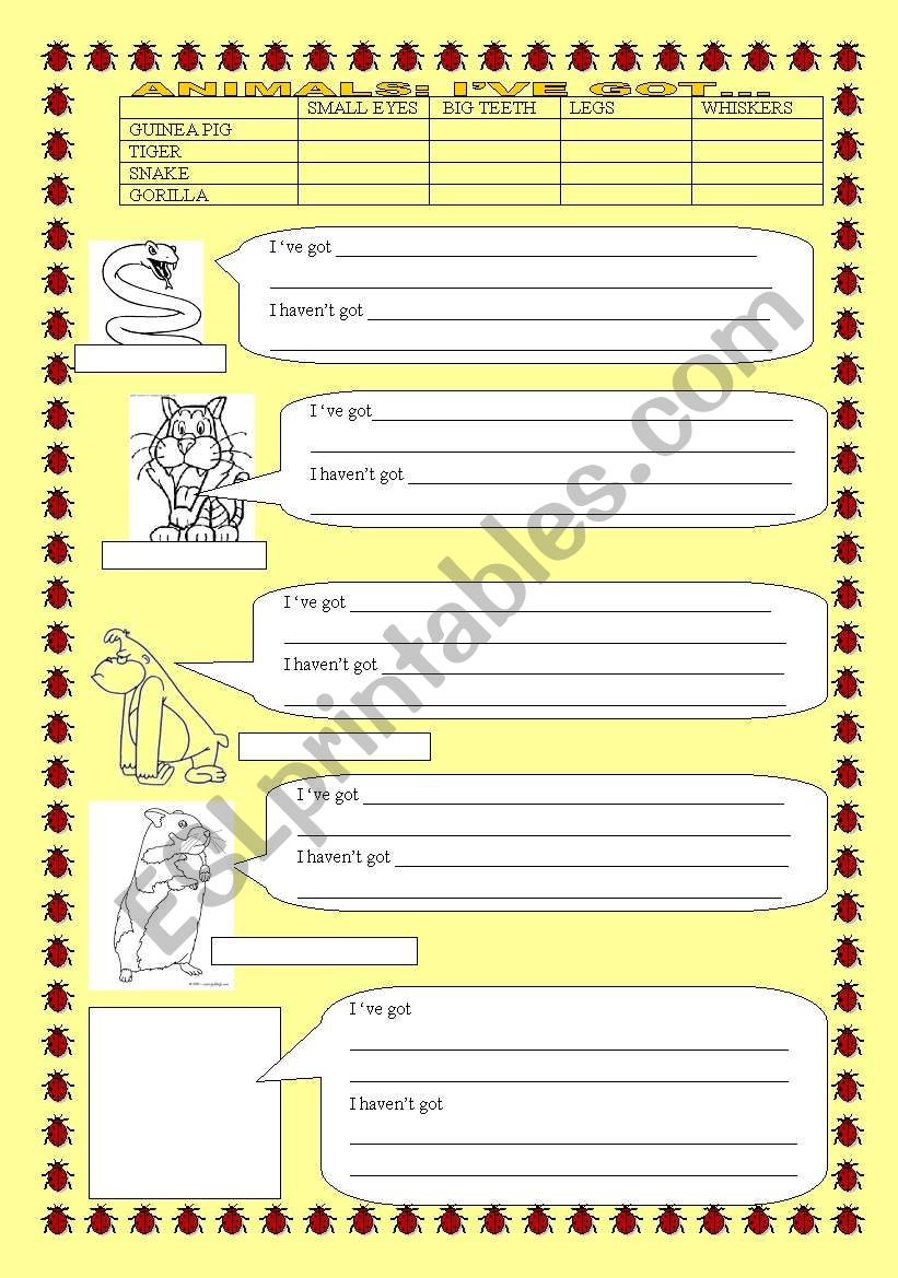 ANIMALS AND HAVE GOT worksheet