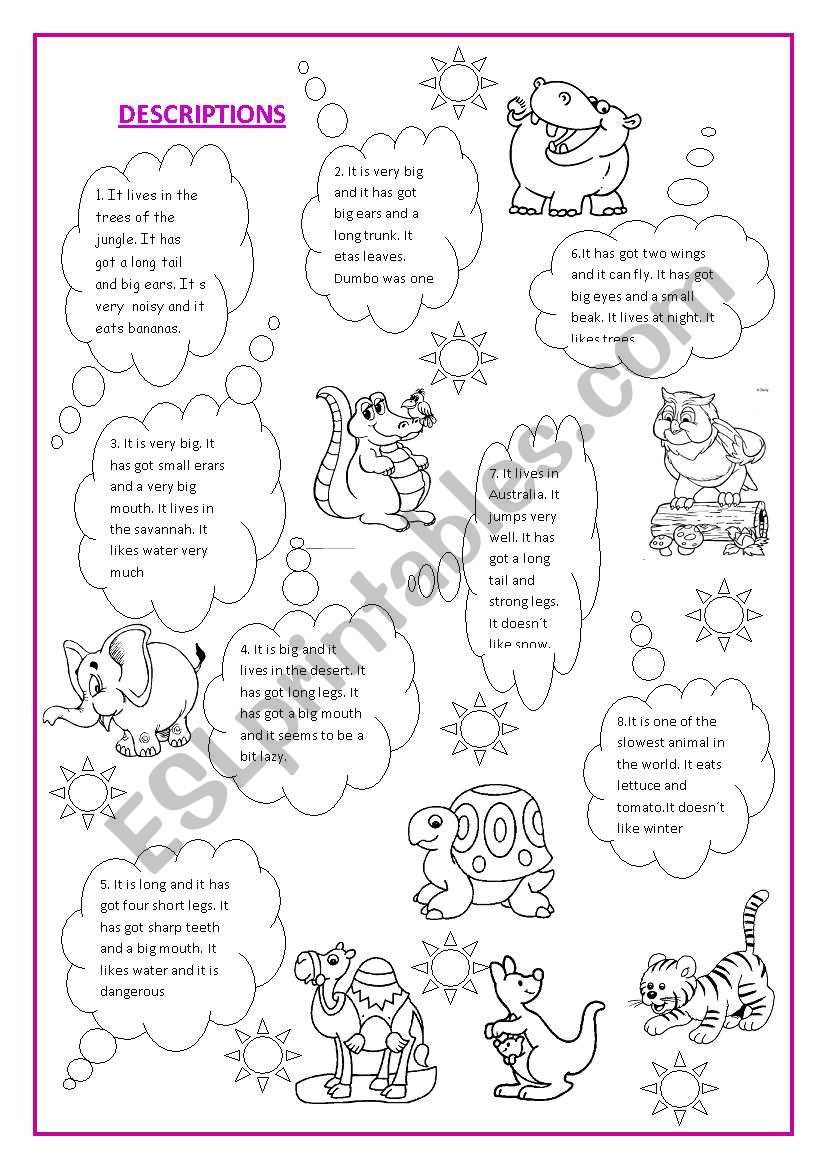 Animal description worksheet