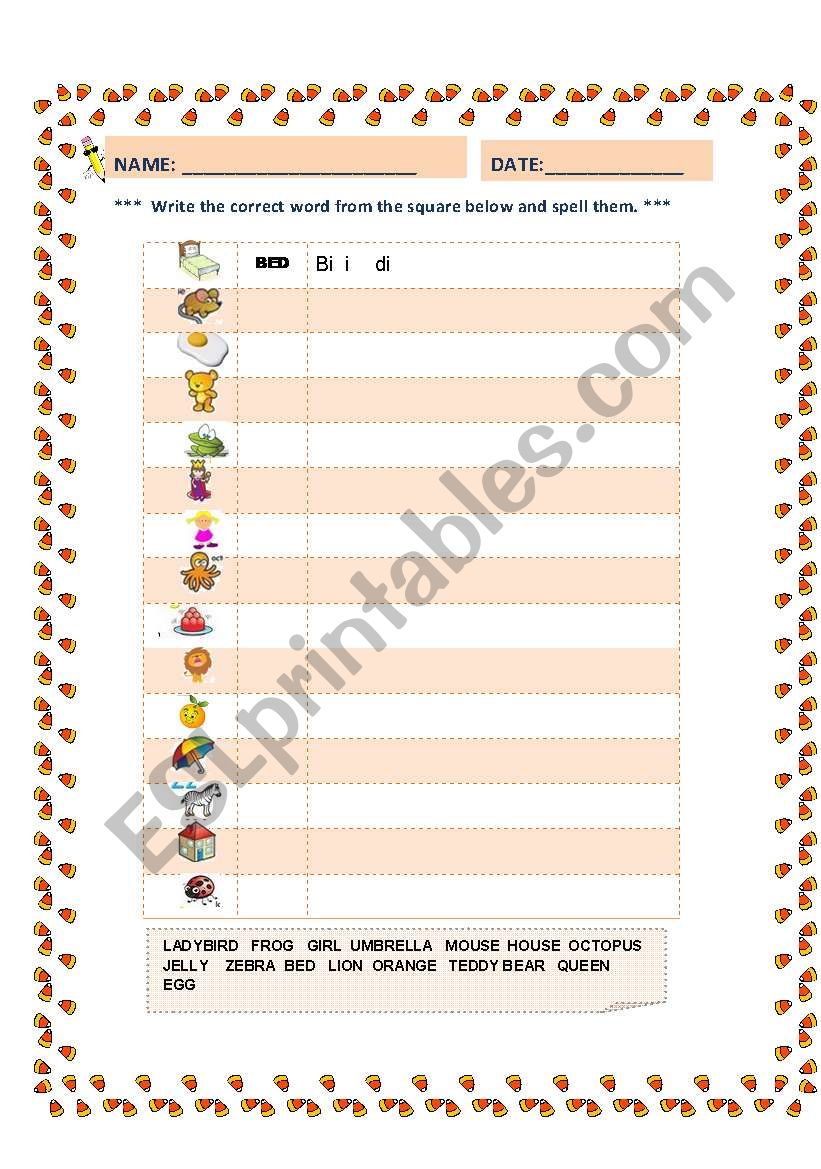 SPELL WORDS worksheet