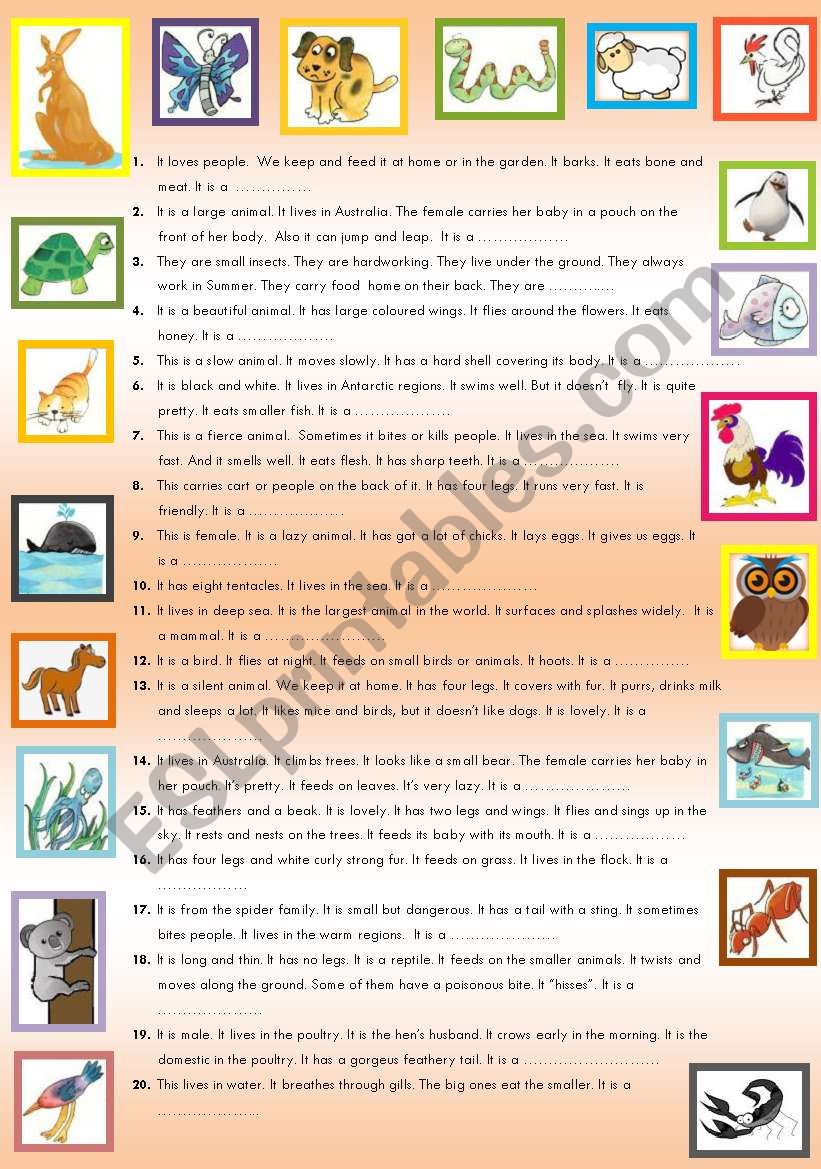 Animals Part 1 worksheet