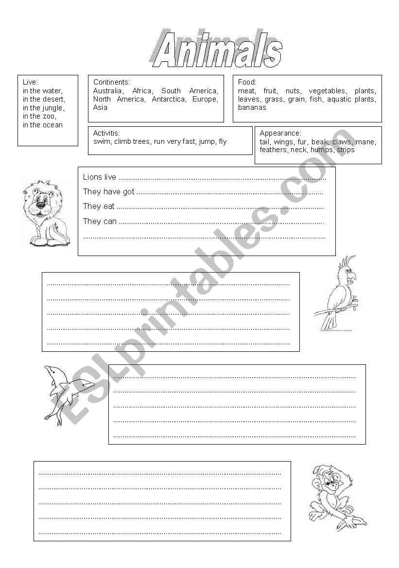 Animals worksheet