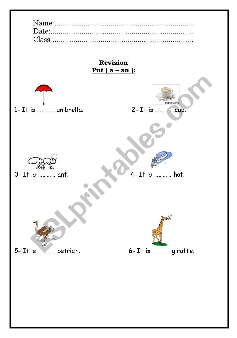 a-an worksheet