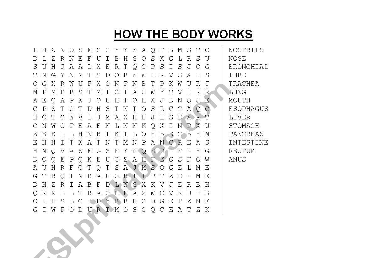 THE BODY SYSTEMS worksheet