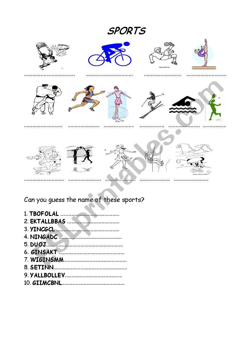 Sports worksheet