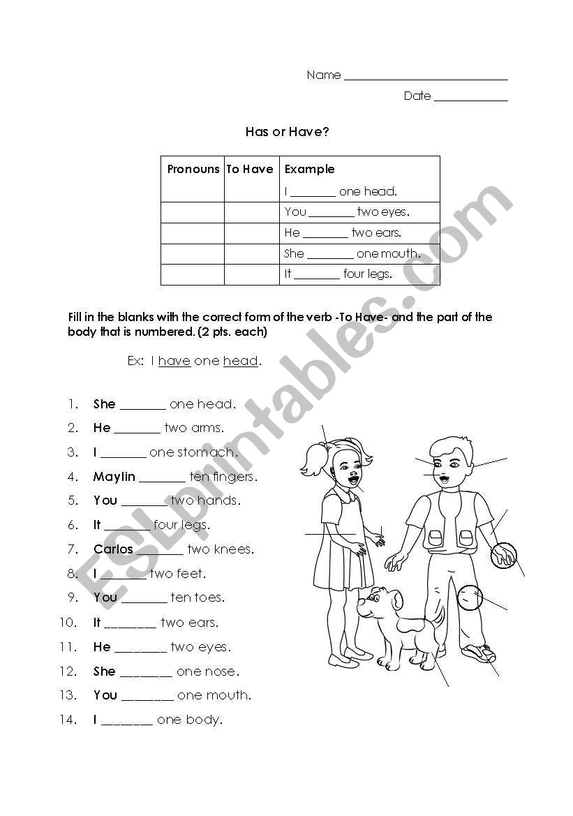 Have or Has? w/ Pronouns & Parts of the Body (young/beginner learners)