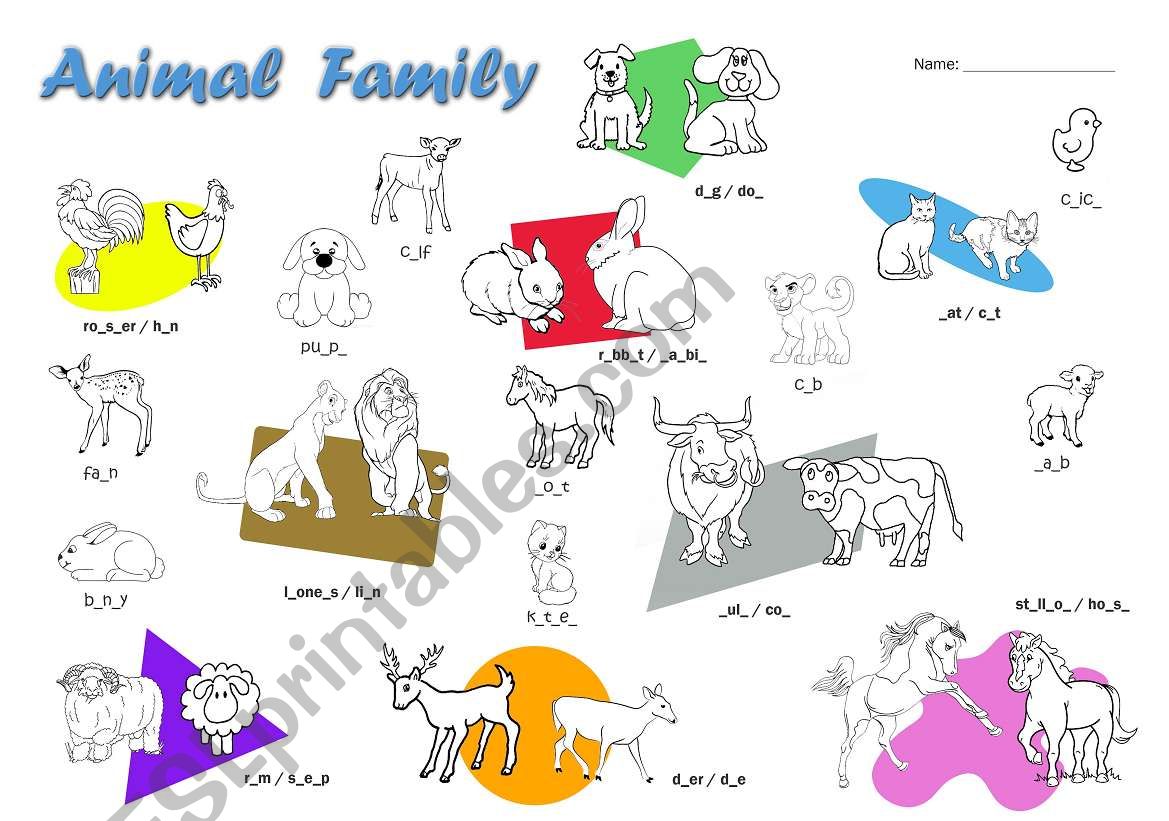 Animal Family Vocabulary - ESL worksheet by aberzosa