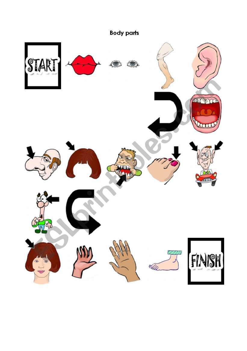 Body parts worksheet