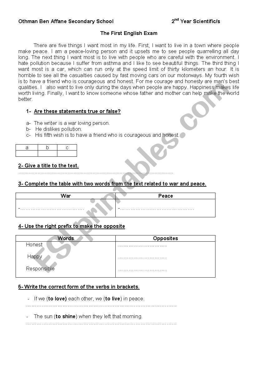 The Writers Wishes worksheet