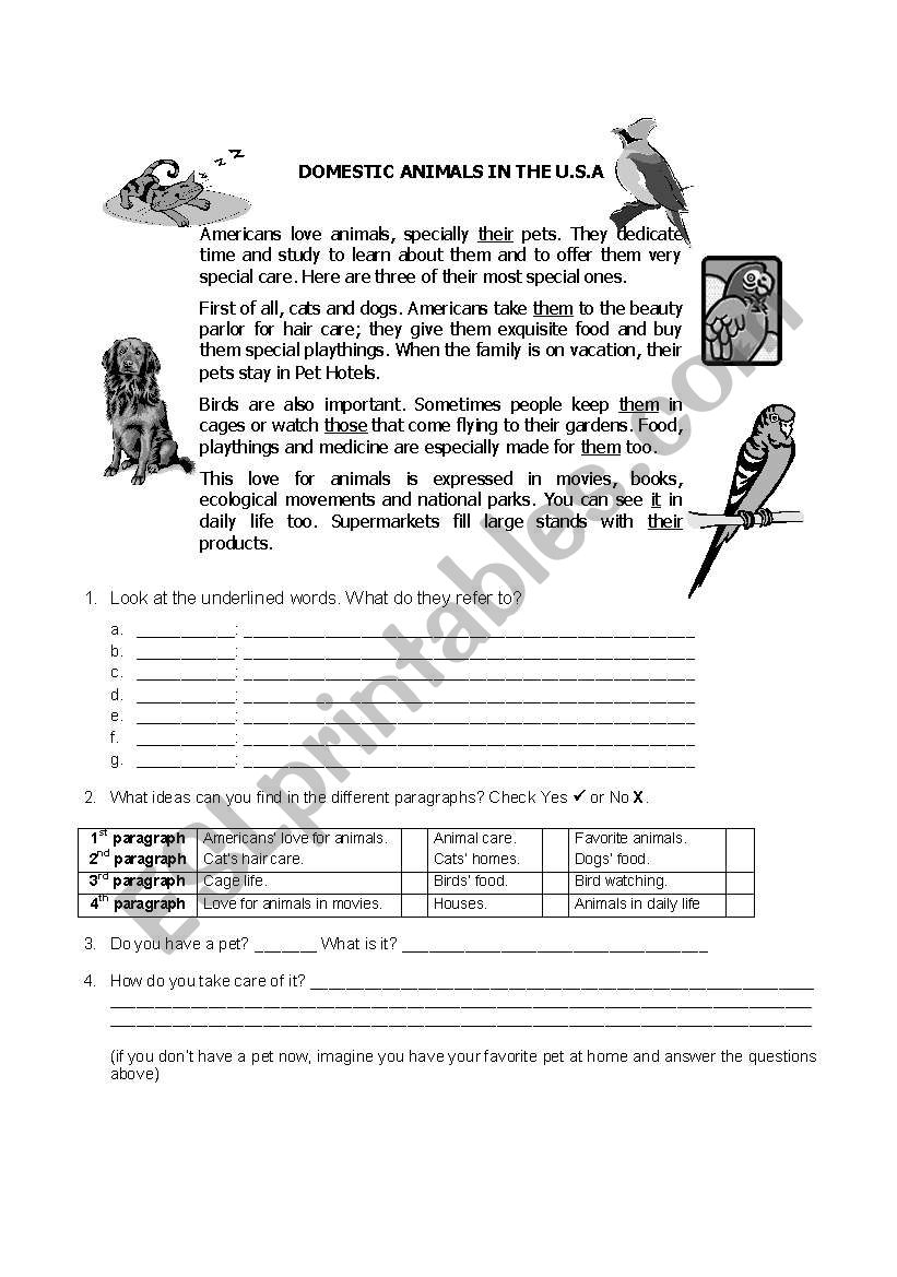 DOMESTIC ANIMALS worksheet