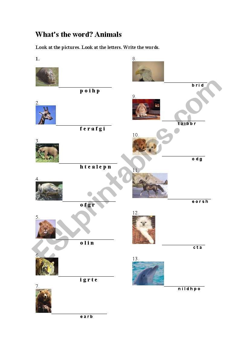 Whats the word? Animals worksheet