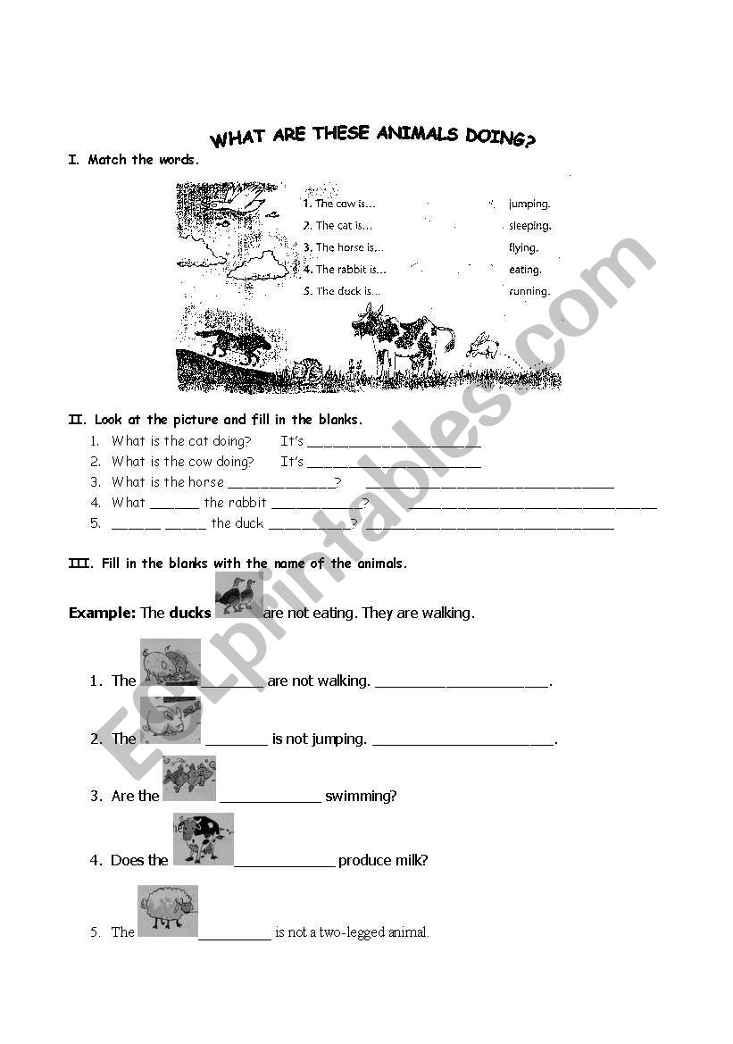 What are these animals doing? worksheet