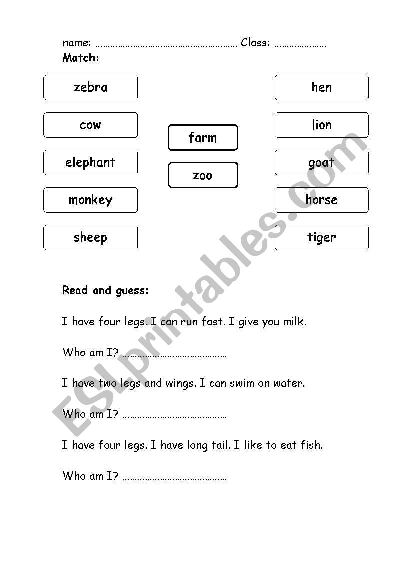 animals worksheet