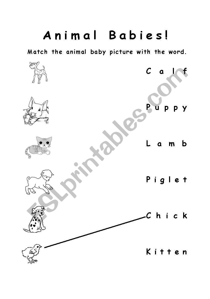 Animal babies 2  worksheet