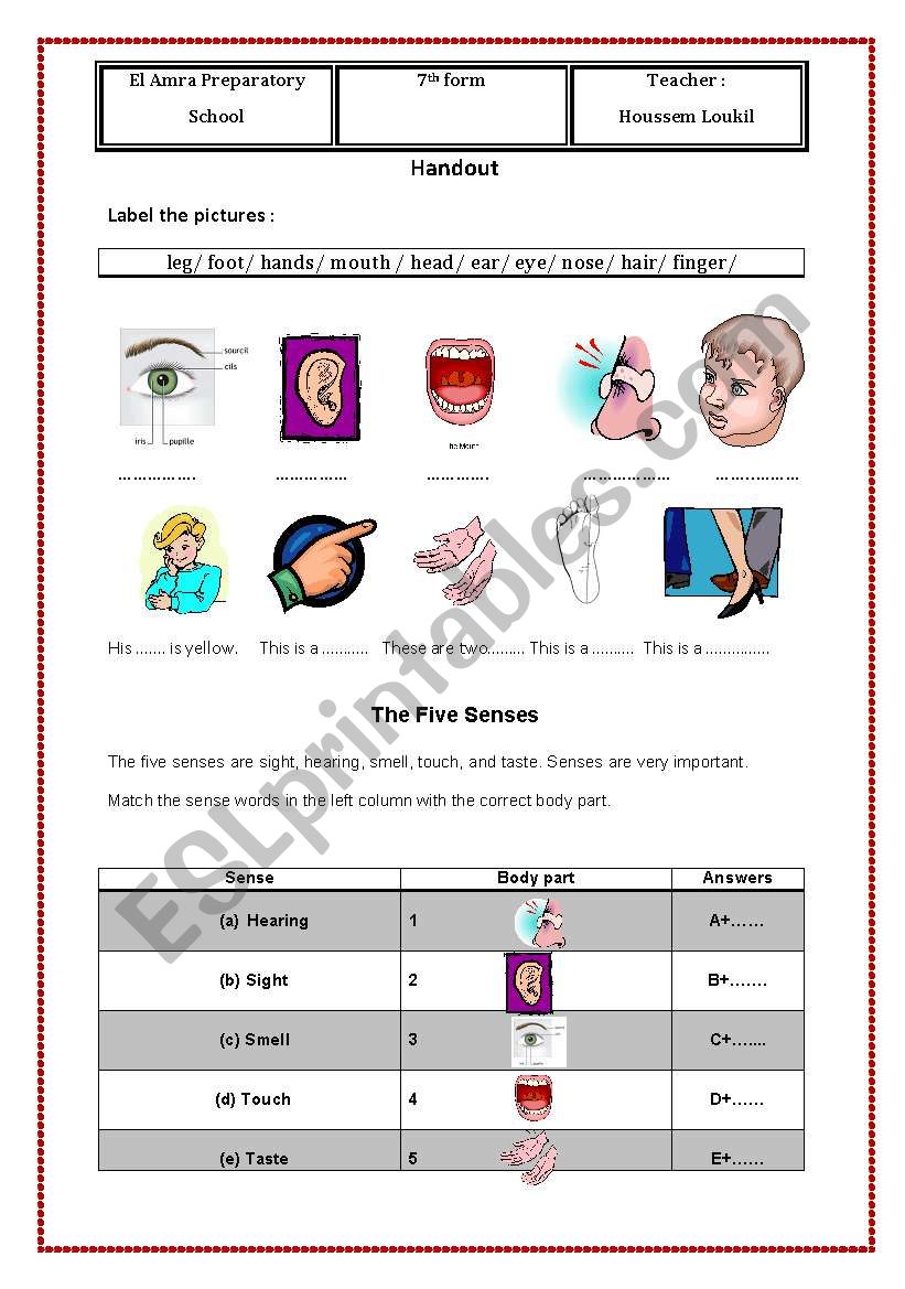 Body parts and illnesses  worksheet