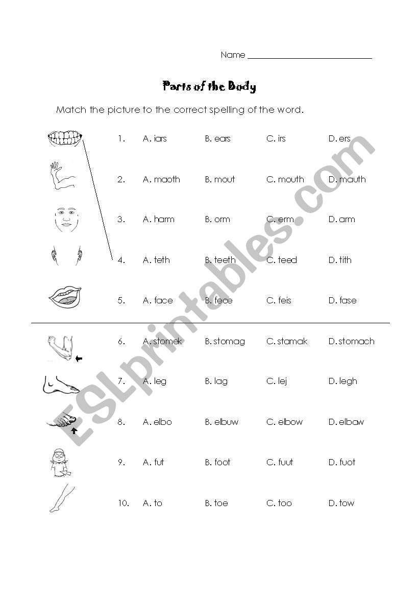 Parts of the Body Identification and Spelling Quiz (young/beginners)
