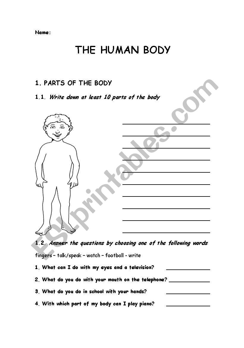 The Human Body worksheet