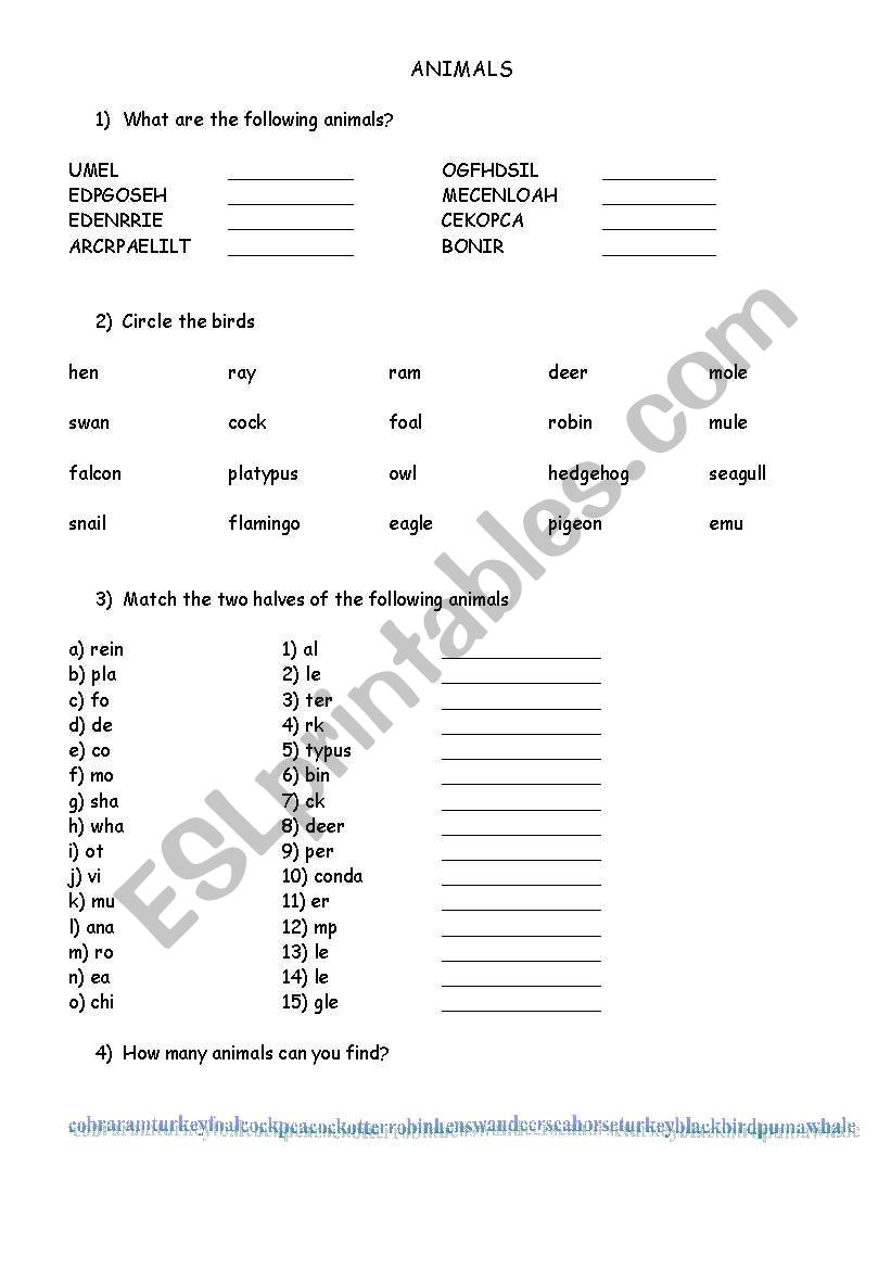 Animals worksheet